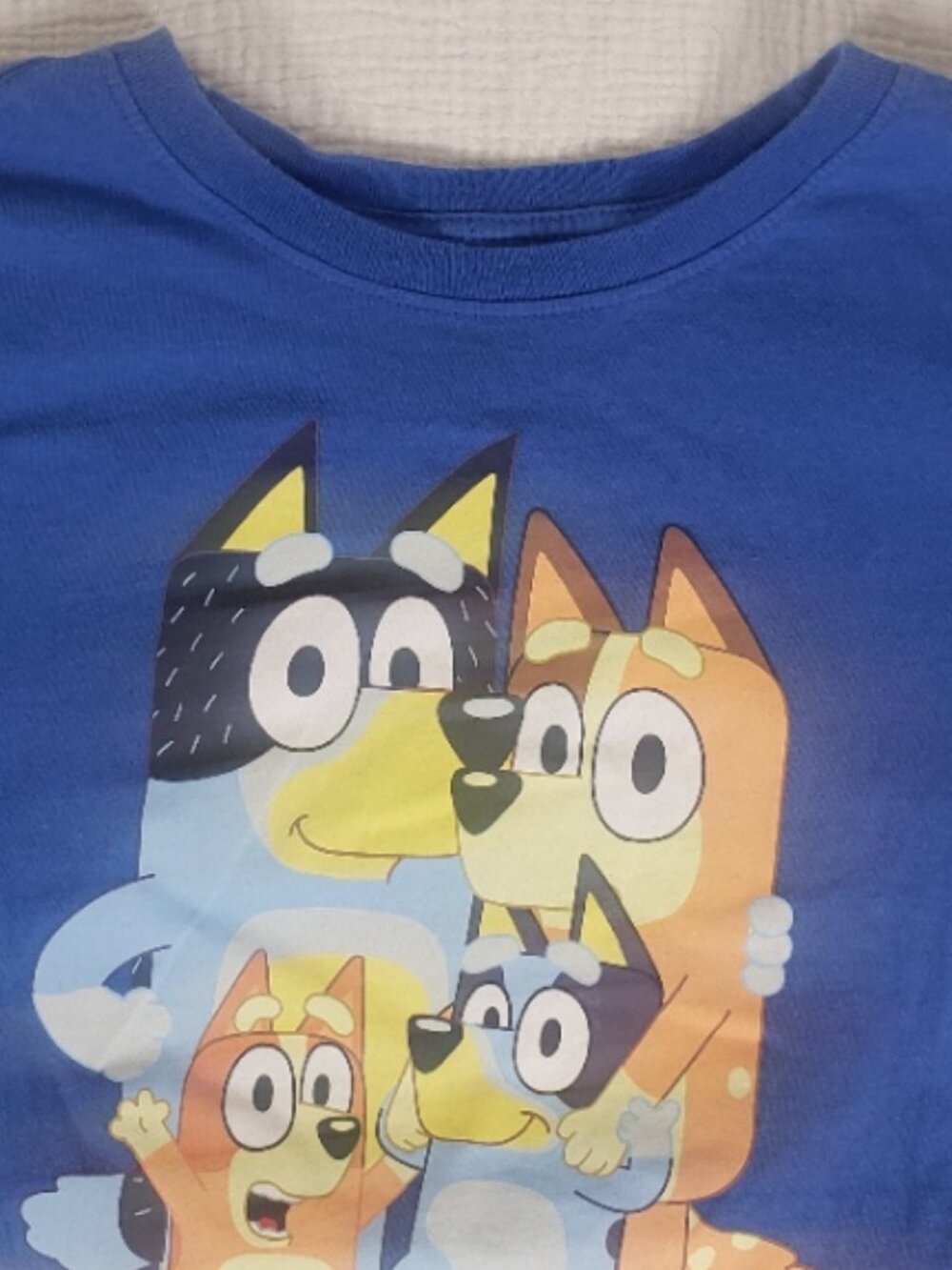 Bluey Graphic Tee Kids XL Blue Cartoon Shirt